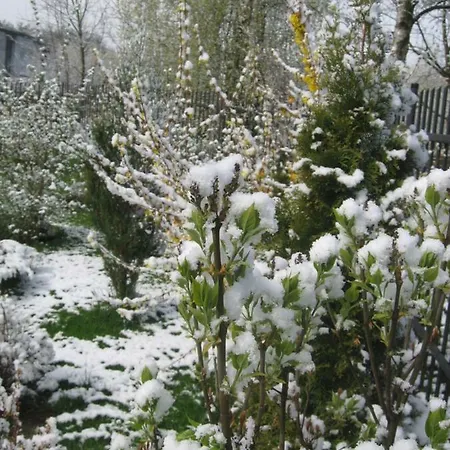 4 Seasons 民宿 Borkowo (Kartuzy)